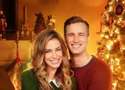 Hallmark the christmas ornament movie