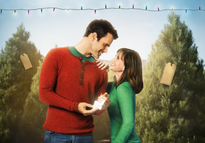 Hallmark the christmas ornament movie